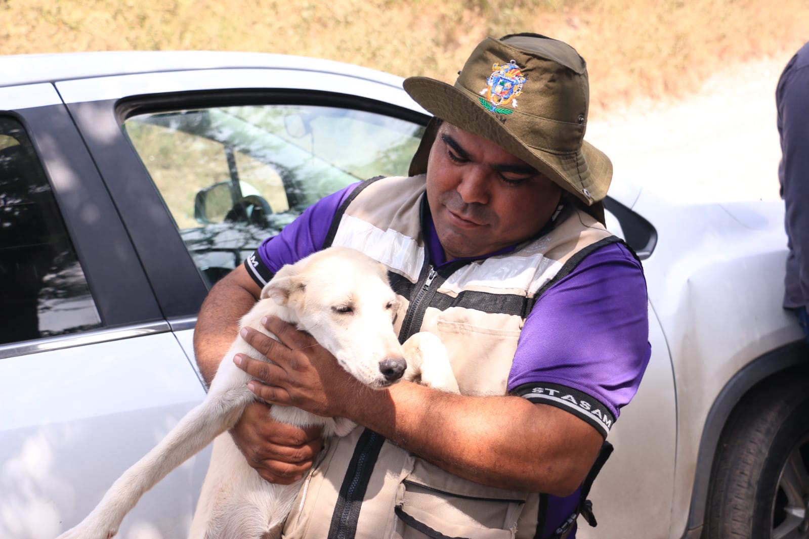 Llaman a darles un hogar a lomitos en Mazatlán; se realizará el Adoptón 2023