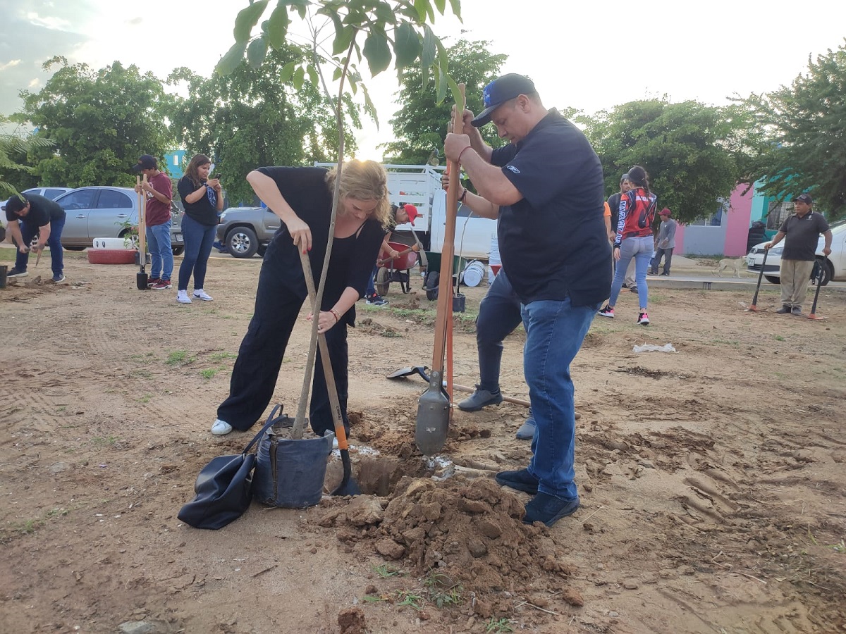 Más de la mitad de árboles de la meta planeada han sido plantados en las áreas verdes de Mazatlán