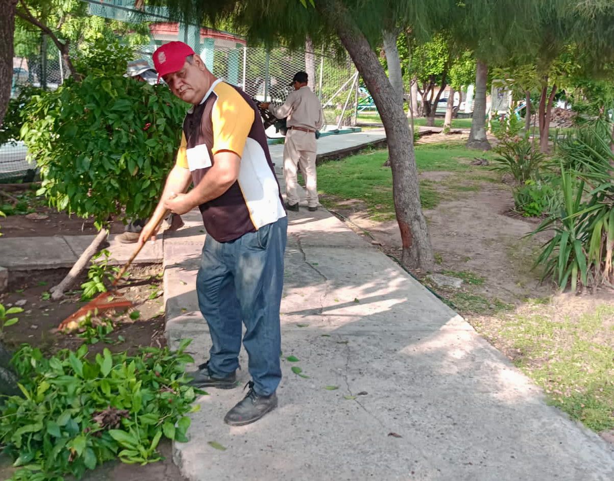 Personal de Servicios Públicos de Mazatlán le da nueva imagen a áreas verdes de la López Mateos con limpieza