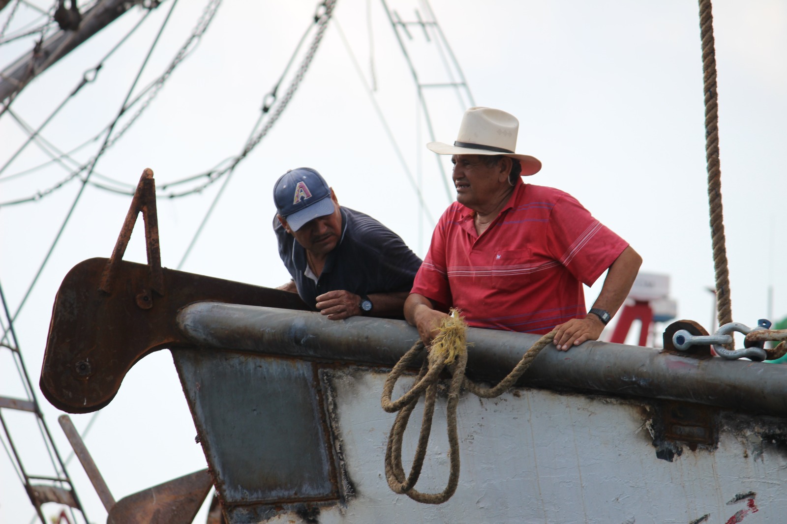 Acuden cooperativistas de camarón del norte de Sinaloa a registrarse para apoyos de Pesca
