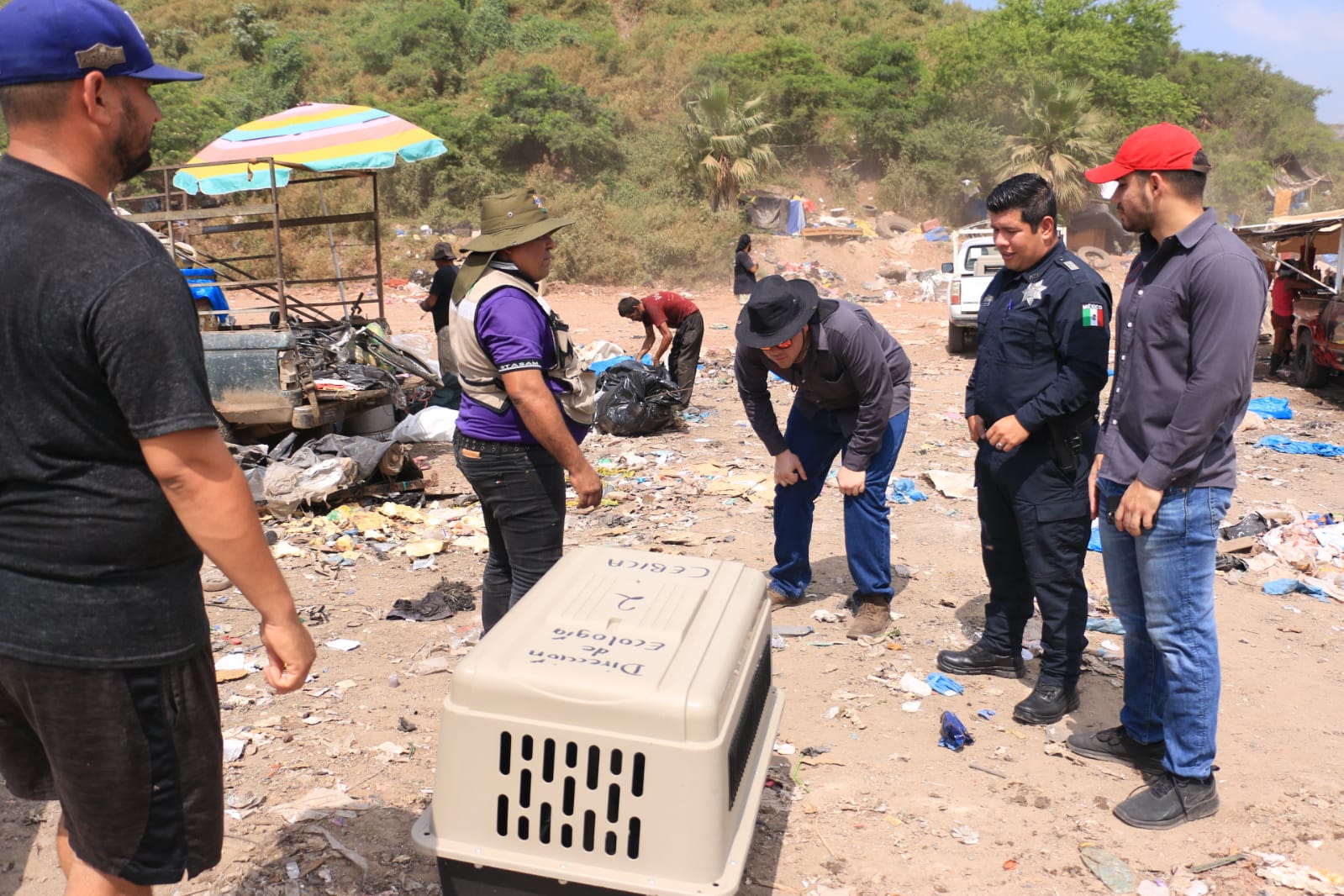 Se han detectado más de 200 animales en abandono en el basurón de Mazatlán; invitan a adoptar