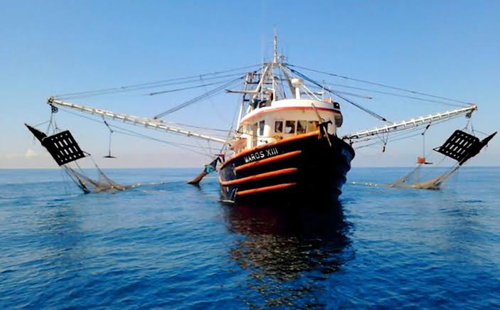 Solo 40% de la flota camaronera zarpará con un precio del diésel marino encima de los 23 pesos: Armadores