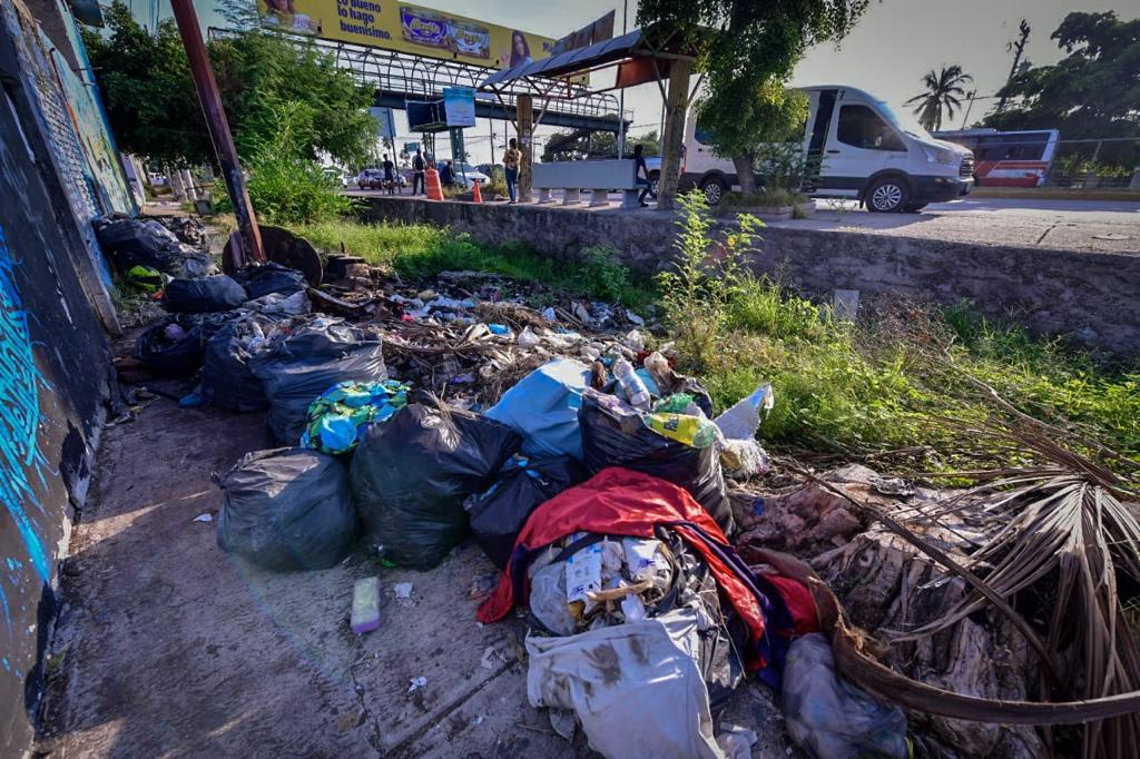En un solo espacio, en una misma colonia de Mazatlán, se escondía un basurero clandestino