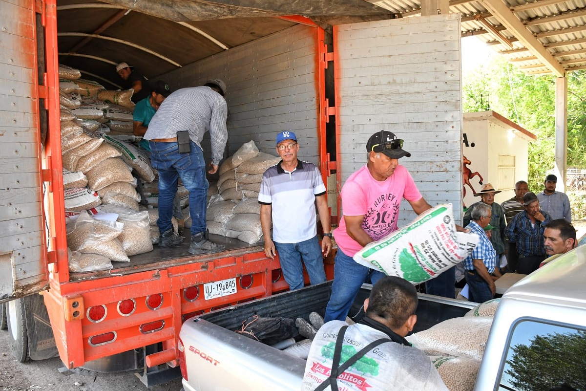 Benefician en Angostura a 53 productores de temporal con semillas de garbanzo