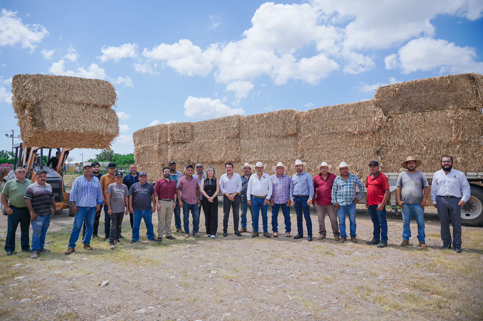 Apoyan a más de 2 mil ganaderos de Sinaloa con alimento para su hatos