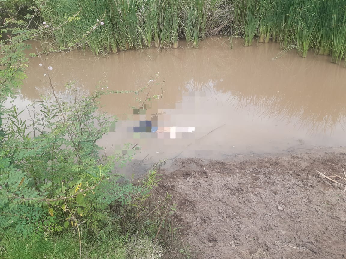 Muere adulto mayor en Guasave por picaduras de abejas