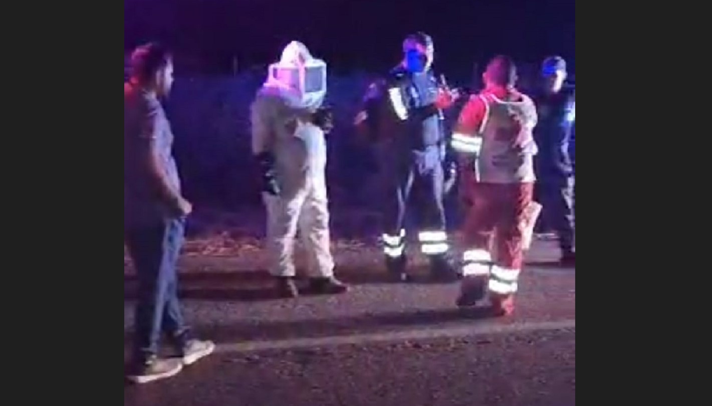 Se alborota enjambre de abejas y pican a 30 personas en El Salado, al sur de Culiacán