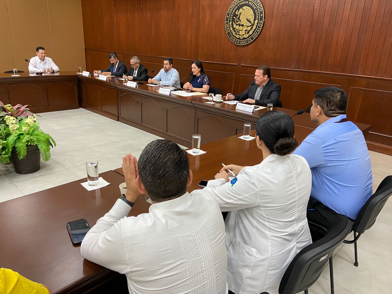 Médicos de Sinaloa consideran necesario que haya seguridad armada en hospitales