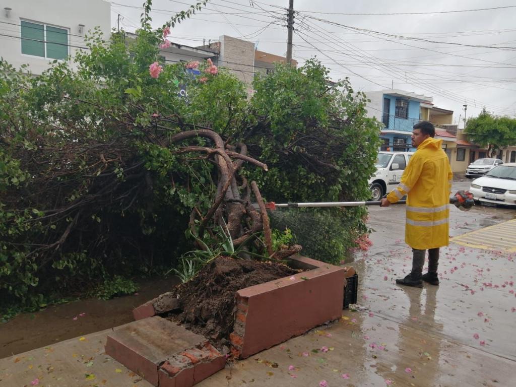 Despliegan operativo en zonas de riesgo ante efectos de ‘Norma’, en Culiacán; reportan saldo blanco