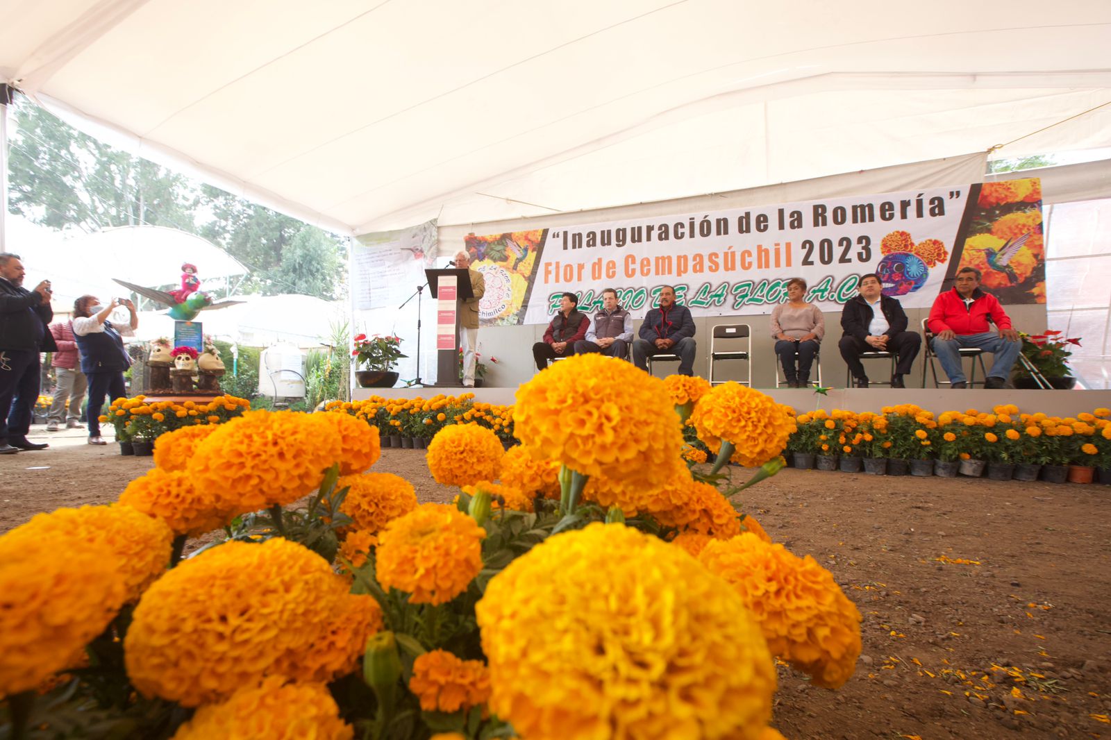 En vísperas al Día de Muertos se forma la Red del Cempasúchil para proteger esta flor mexicana