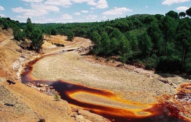 Gobierno Federal recibe petición de Grupo México para dialogar por contaminación del río Sonora