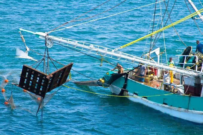 Gobierno de los EEUU visitará los puertos mexicanos para evaluar los DET’s a los barcos de altamar