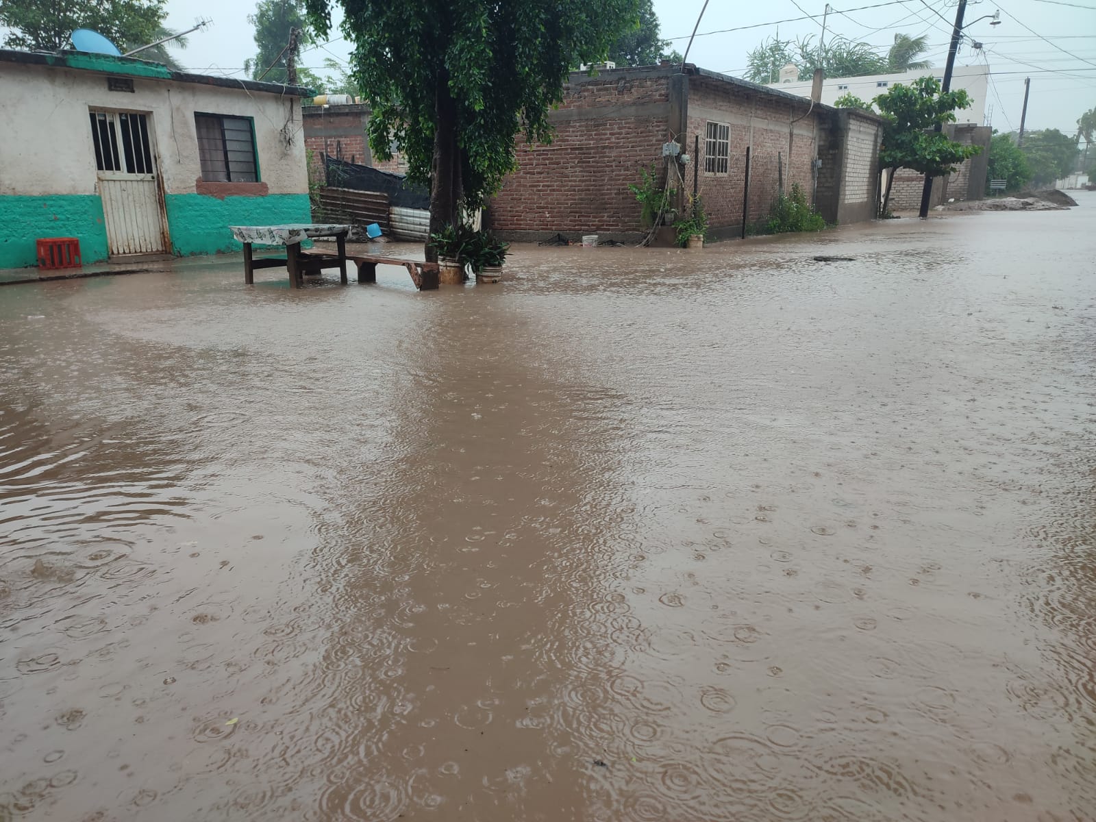 ¡Guasave tiene ya 120 milímetros de lluvia acumulada! no ha llegado “Norma” y ya hay zonas inundadas