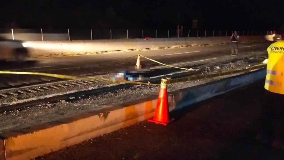 Localizan a joven atropellado en el kilómetro 72 de la autopista Culiacán-Mazatlán.