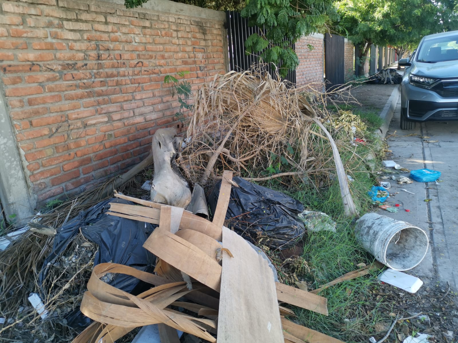 Maestros y alumnos de escuelas primarias en Los Mochis, se manifiestan por la tira de basura de sus vecinos