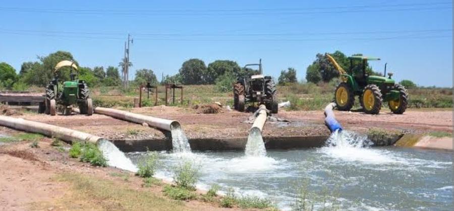Se mantienen ordenados usuarios del Santa Rosa sobre el uso del agua para las siembras
