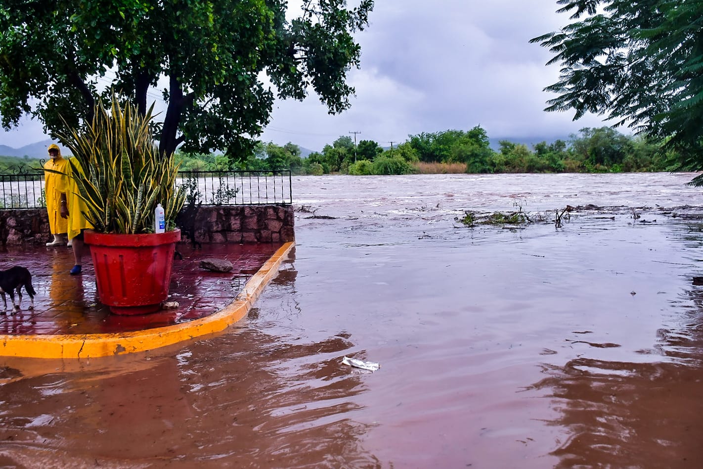 Norma deja sin agua al norte en zona rural de Mazatlán y ahora a siete colonias de la ciudad