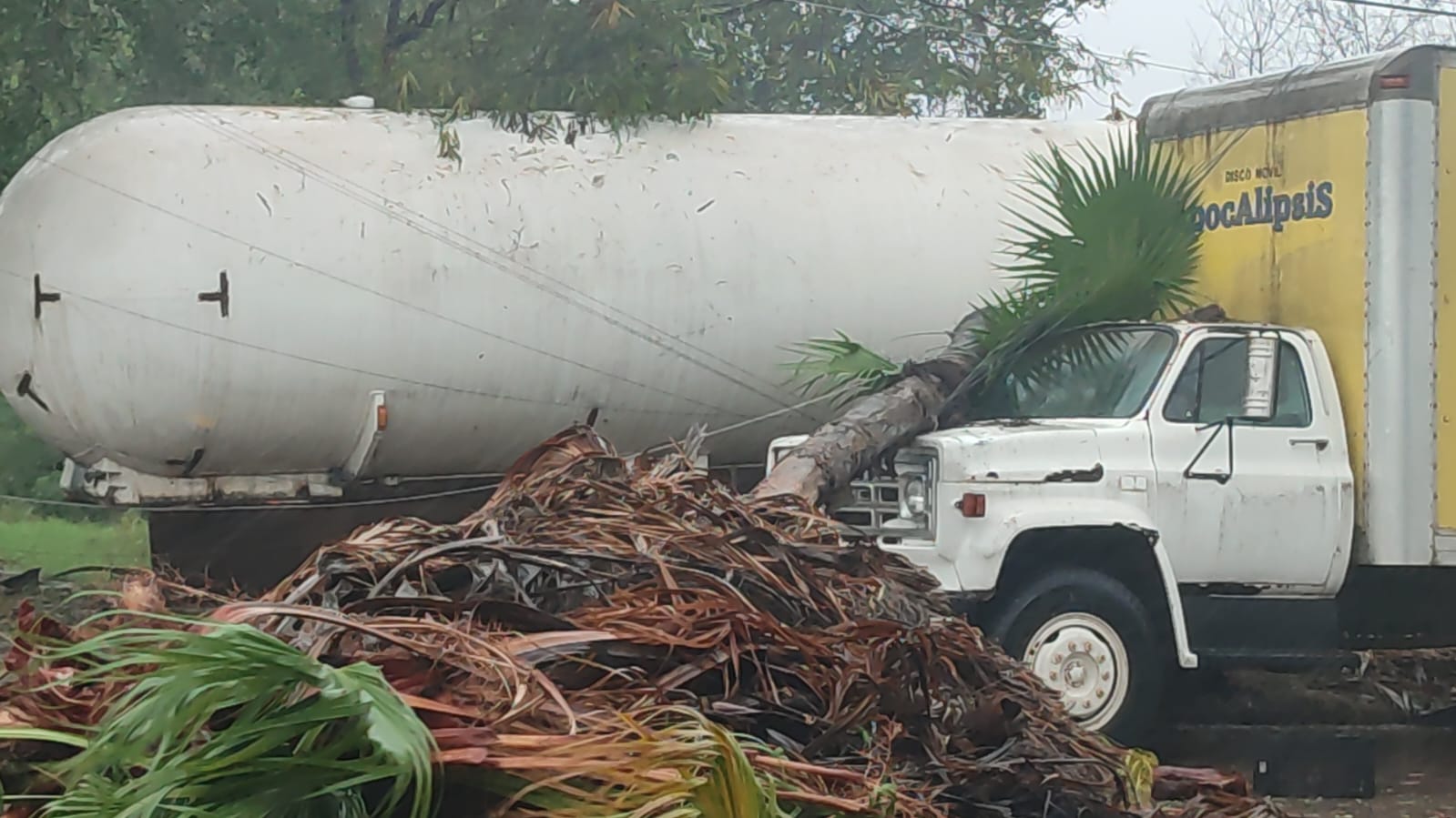 ‘Norma’ deja sin luz a Los Mochis; los fuertes vientos derribaron árboles y cables eléctricos