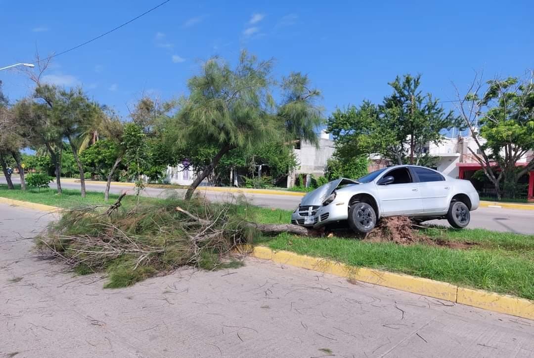 Pierde el control y se impacta contra árbol del camellón en la Juan Pablo II en Mazatlán