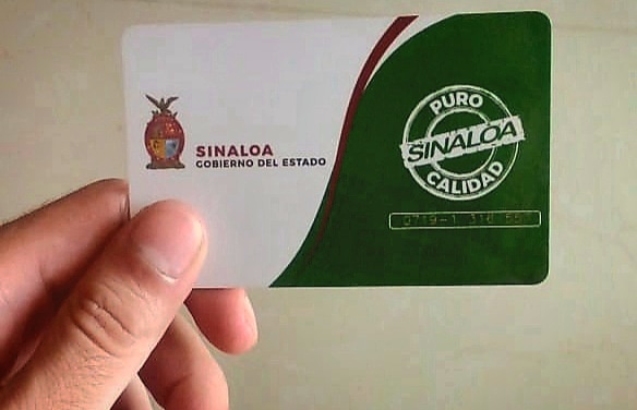 Vialidad instruye a Alianzas de Urbanos validar todas las credenciales de estudiantes