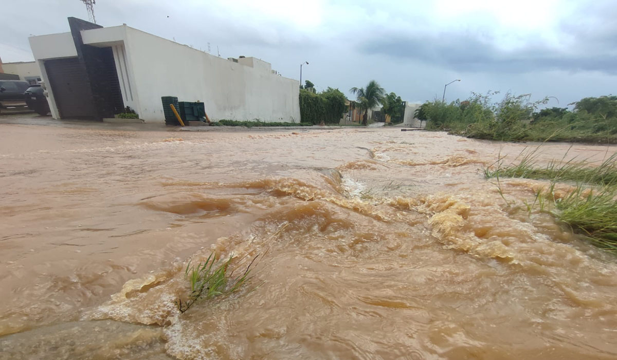 Fueron 220 milímetros, el acumulado de lluvias que afectaron a Mazatlán por ‘Norma’: Édgar González