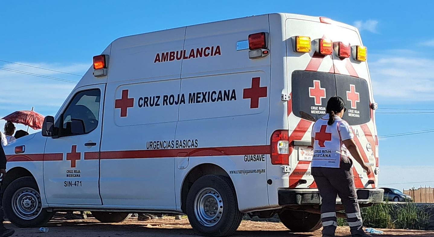 Vaquero resulta lesionado al ser atacado por abejas cuando pastoreaba vacas en Guasave