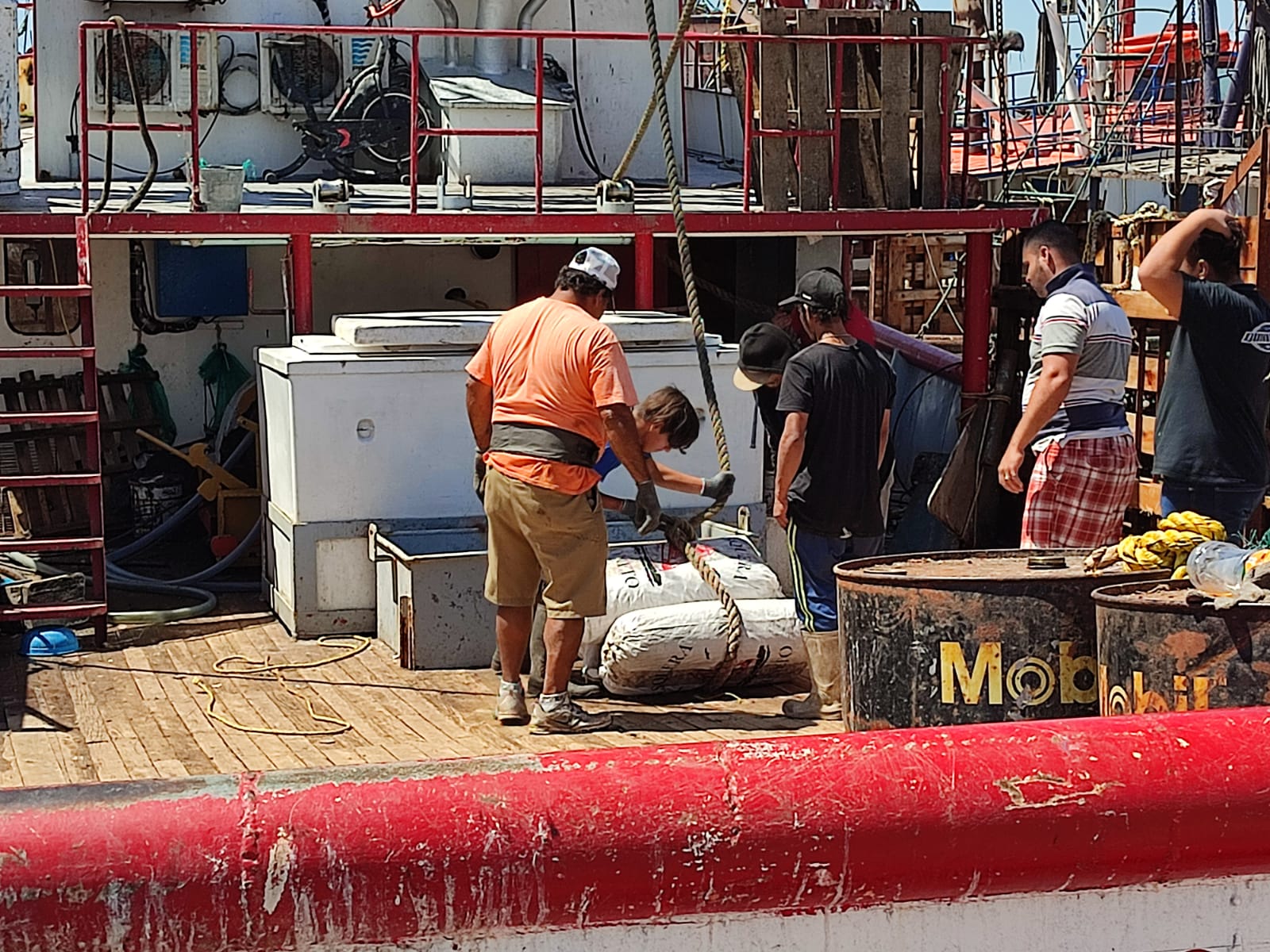 Aún no hay descarga de camarón, pero solo tres días hubo buenas capturas: Armadores