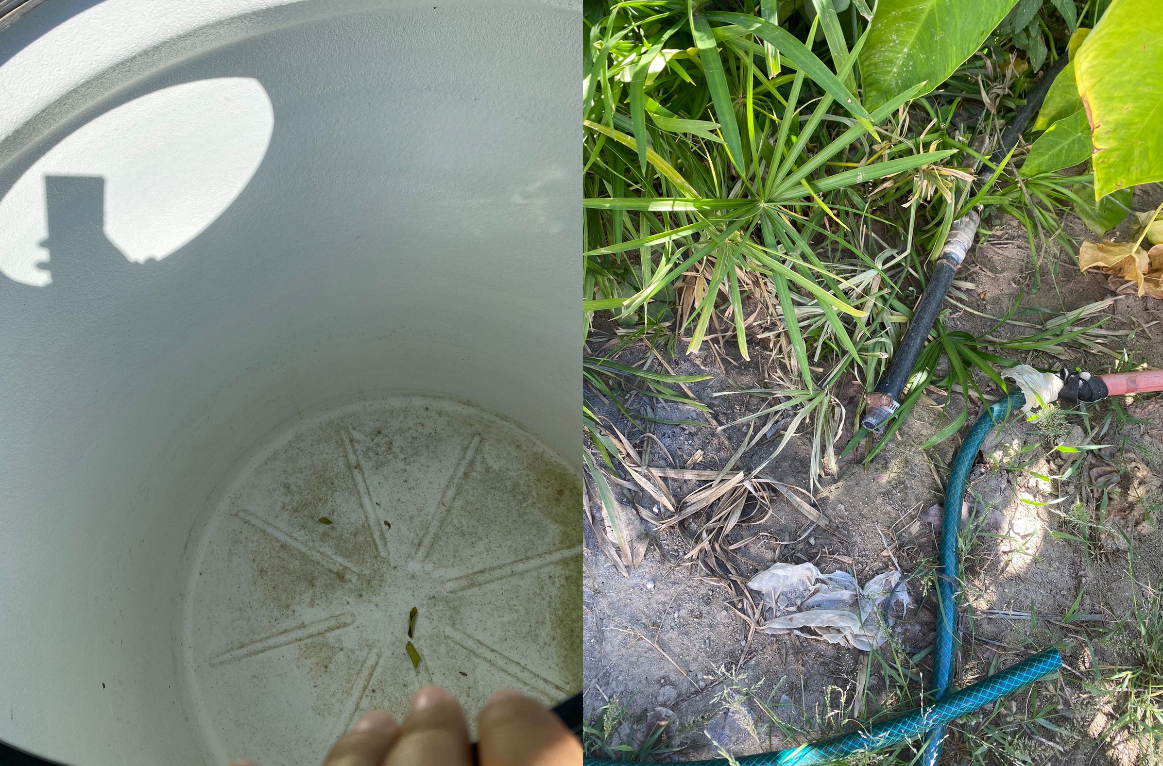 Suman 20 días sin agua familias en Choix; autoridades municipales ignoran el llamado, JAPAMCH ni responde