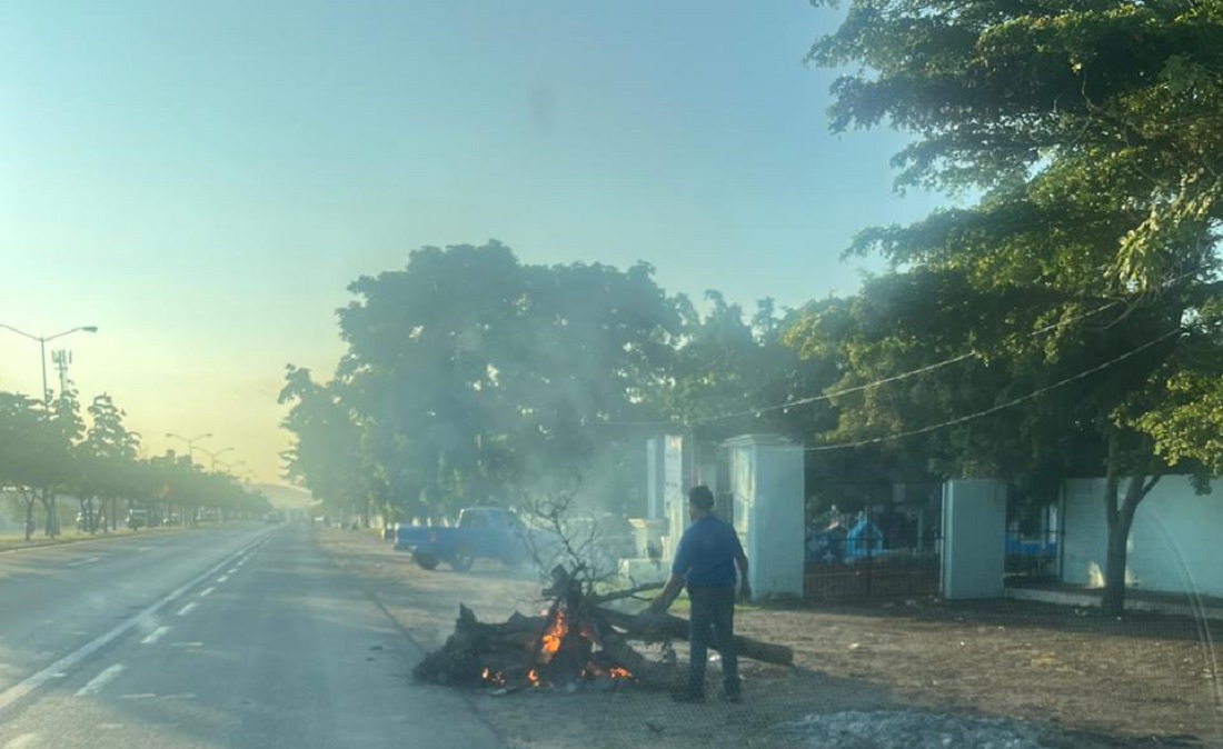 Sancionan a florista que quemó árbol afuera de panteón en Mazatlán
