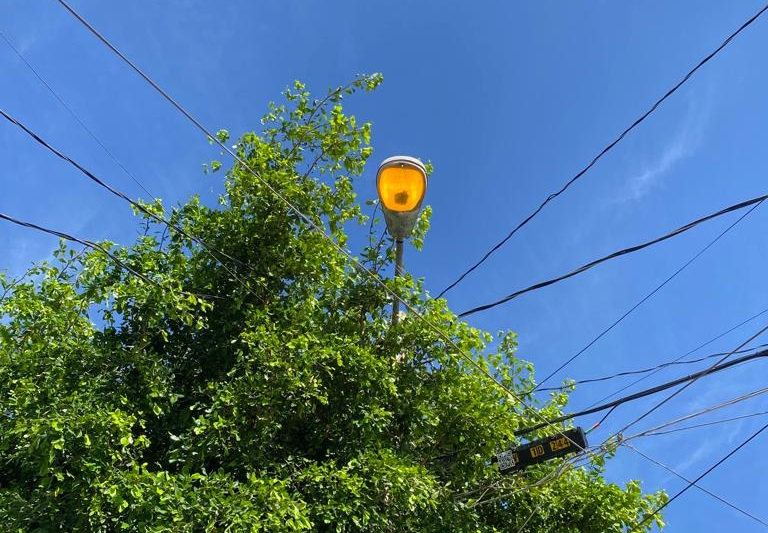 Se instalarán luminarias solares en Ahome: Servicios Públicos 