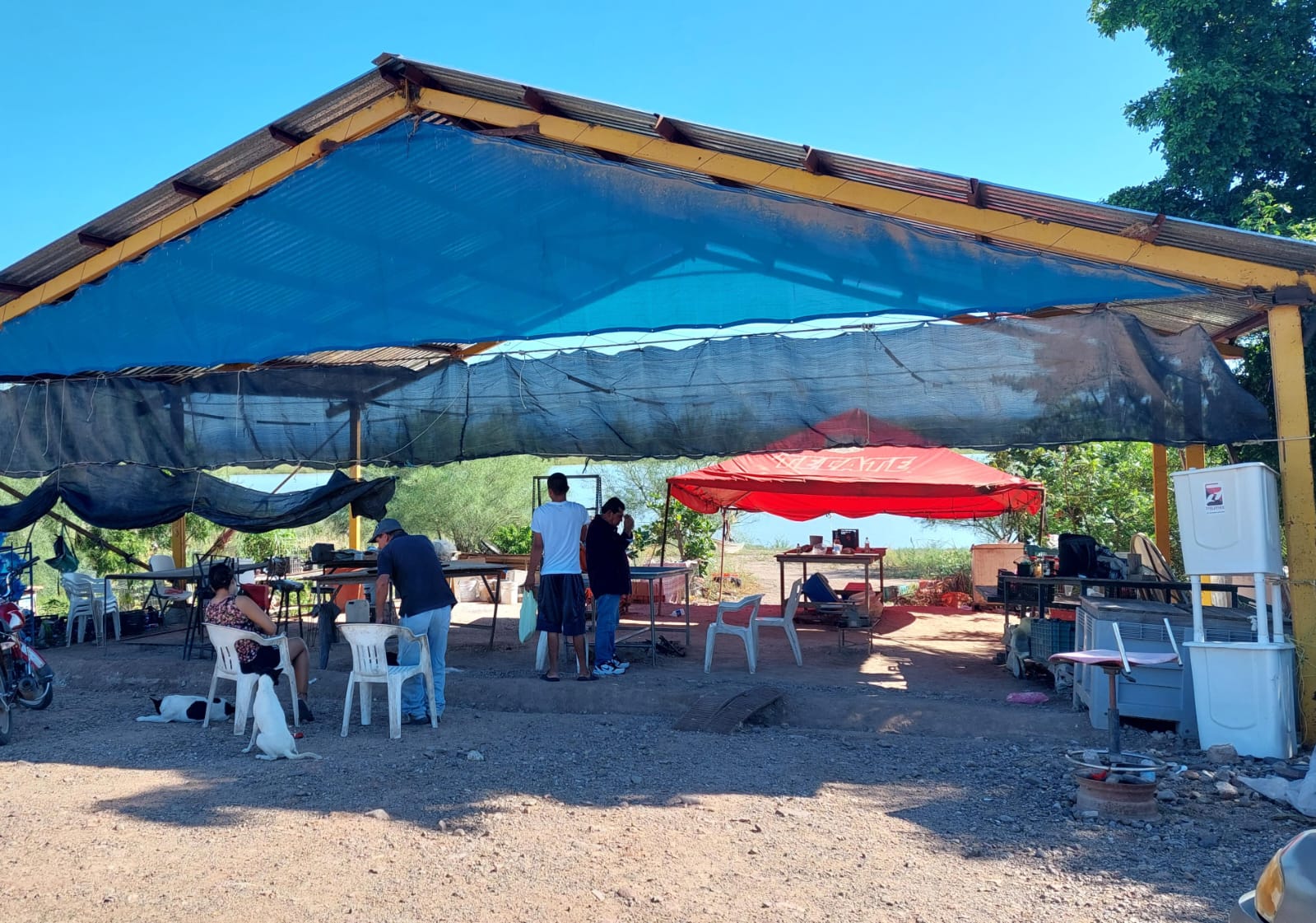 Avizoran crítica temporada para pescadores de la presa Eustaquio Buelna en Guamúchil