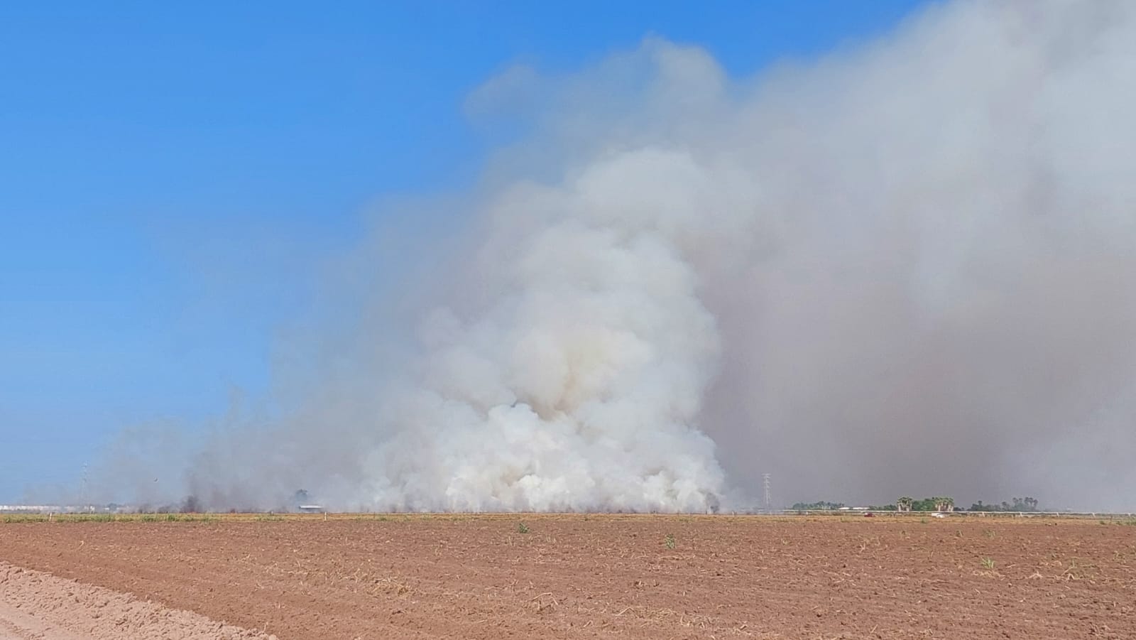 Quema de espárragos sorprende a habitantes de Los Mochis; humo provocó poca visibilidad en la carretera