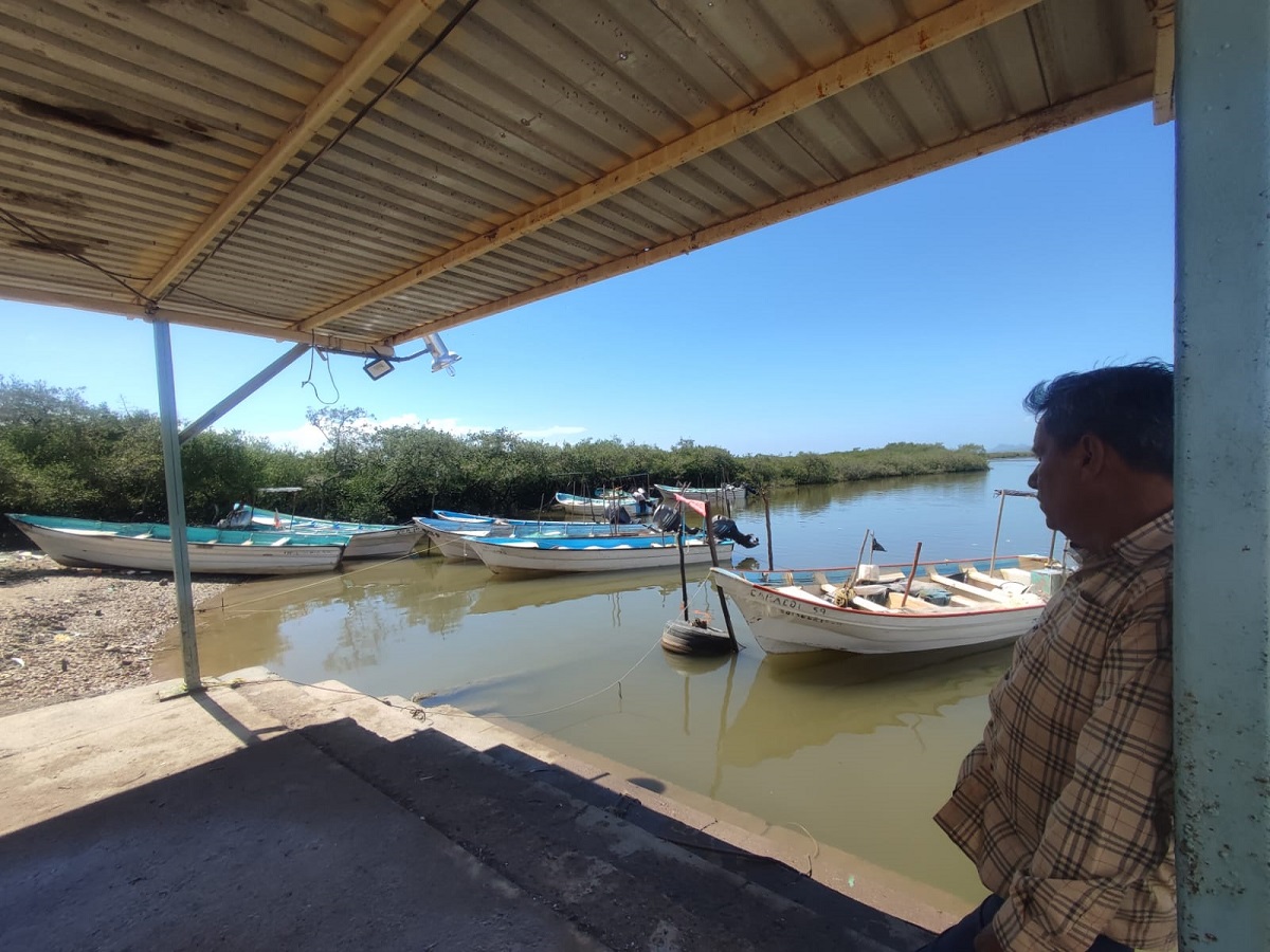 Ayuda económica no resuelve problema de pescadores, urge restaurar las bahías en Sinaloa: Flor Emilia Guerra