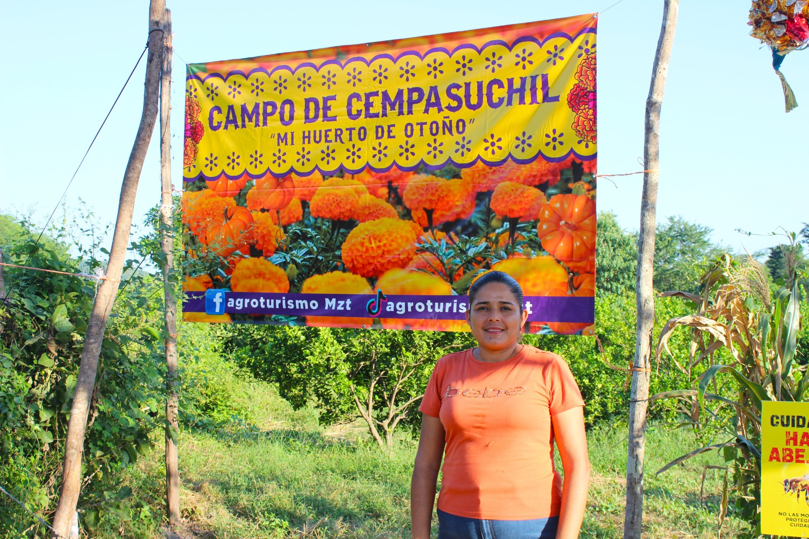 De girasoles a cempasúchiles, agroproyecto que enmarca el Día de Muertos en Palmillas, Mazatlán