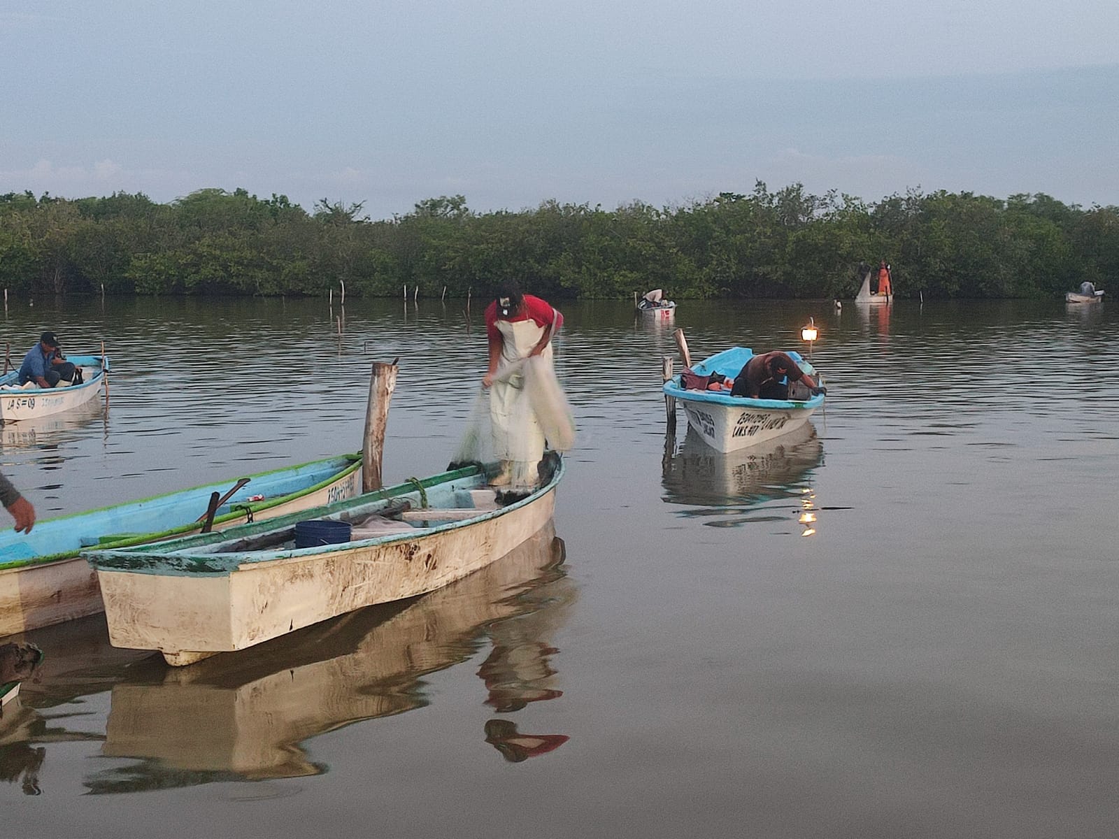 A la deriva pescadores de Escuinapa, se agotan especies alternativas al camarón también