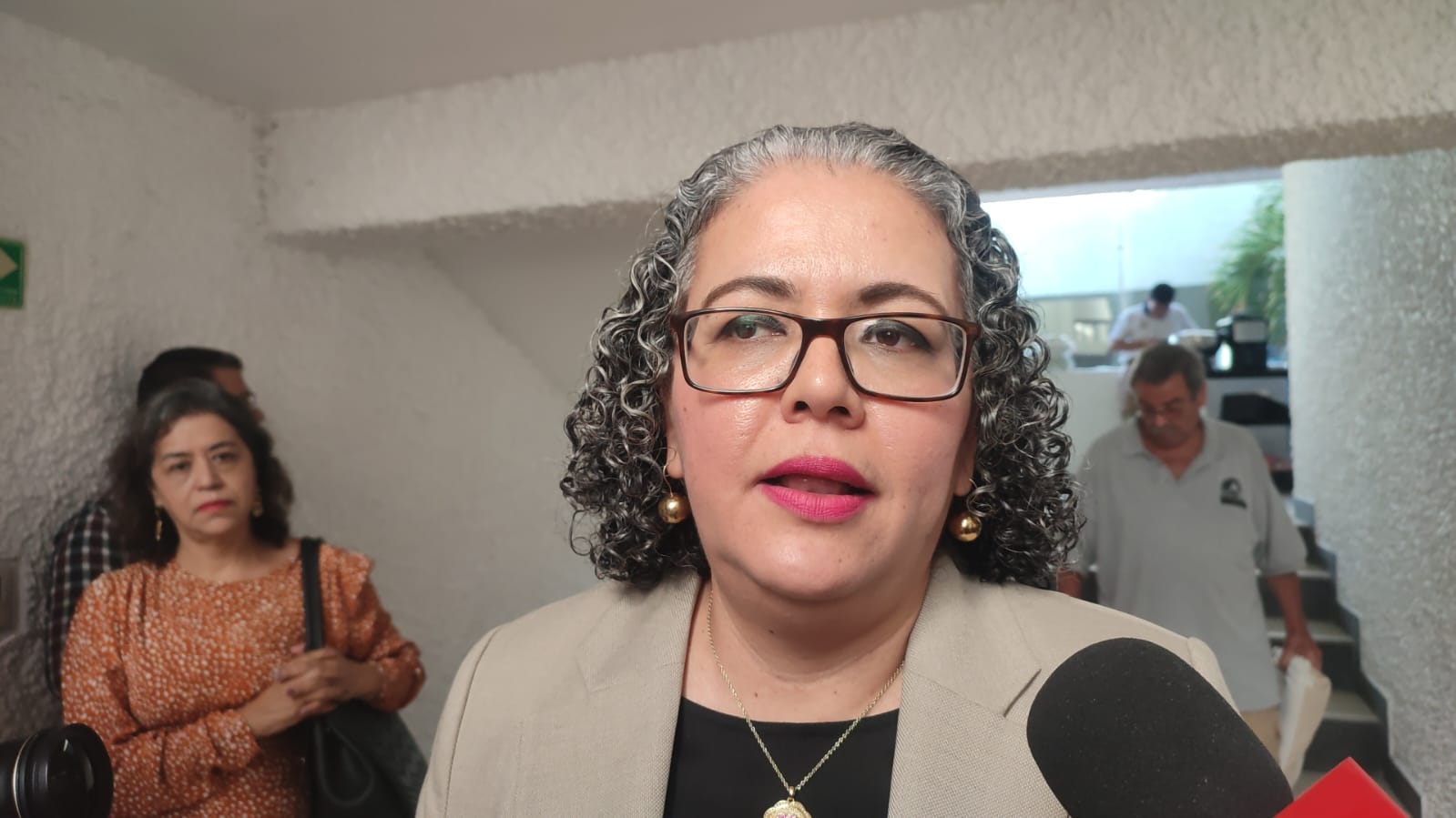“Padres que se ampararon por los libros de primaria están afectando a sus hijos” declara Graciela Domínguez Nava