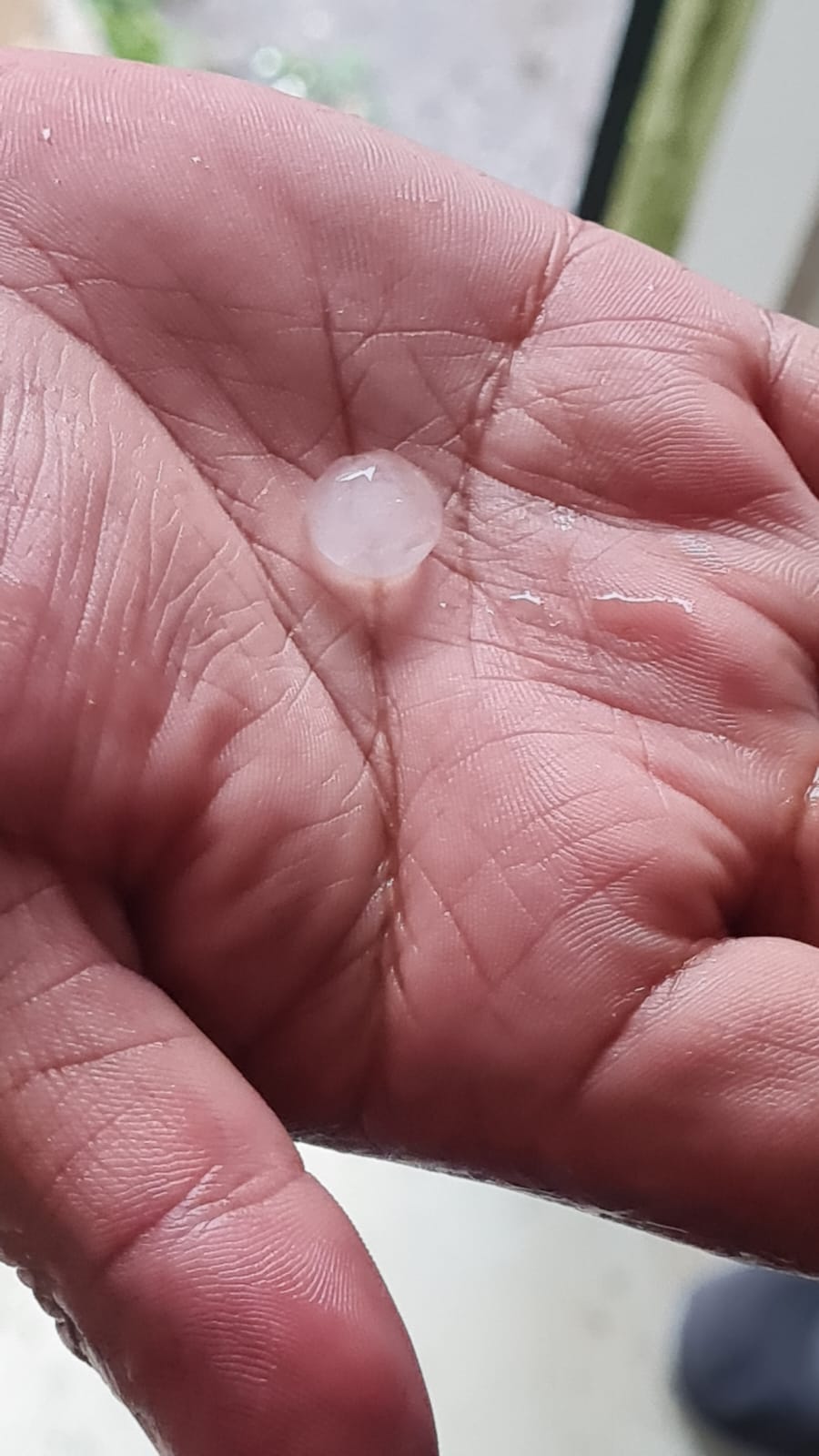 Nieva en El Salto, Durango, y en Mazatlán cae granizo; efectos de tormenta invernal