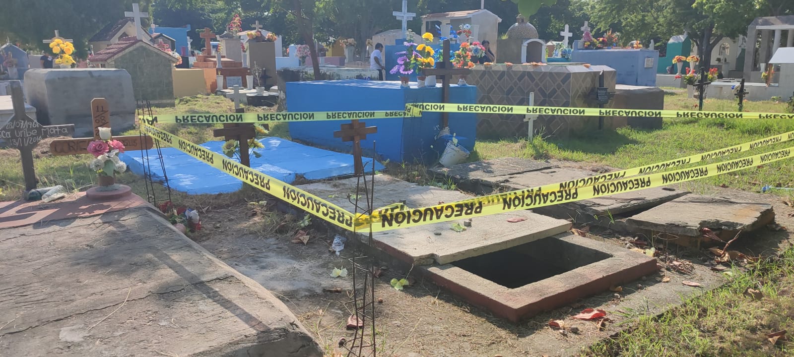 Reportan picadura de alacrán a una persona que acudió a limpiar tumba en Mazatlán