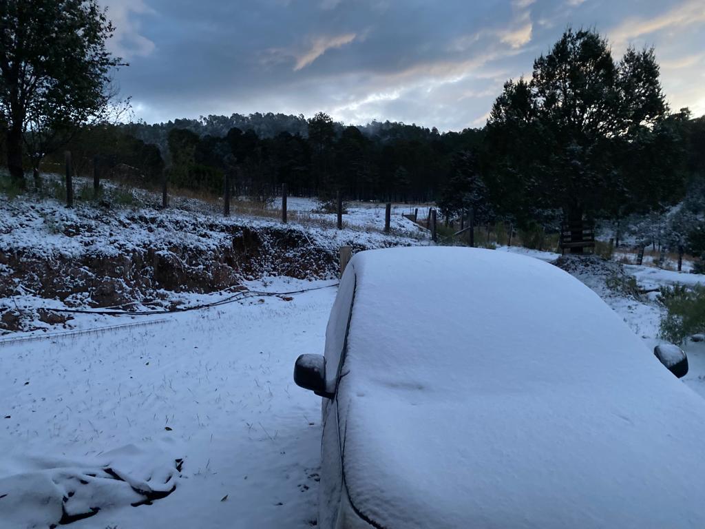¡Se hizo la nieve! Santa Gertrudis amanece completamente nevado