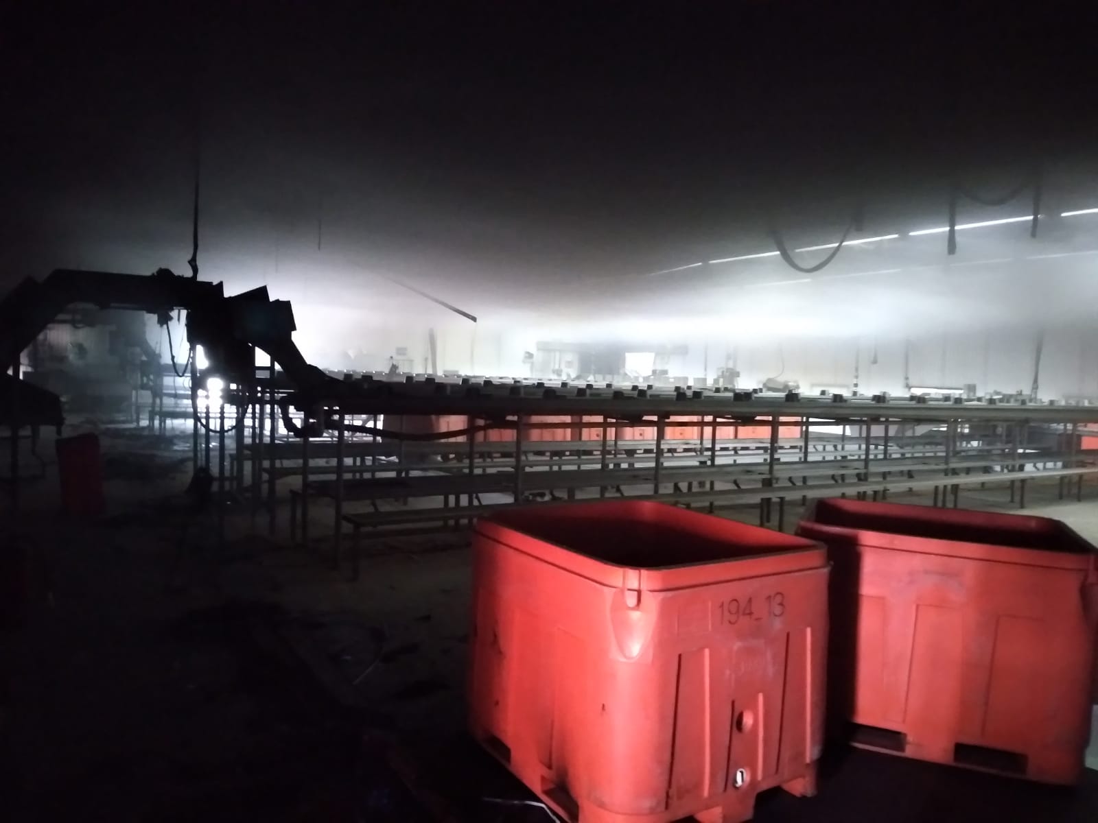 Se incendia planta de procesados de camarón en Ahome