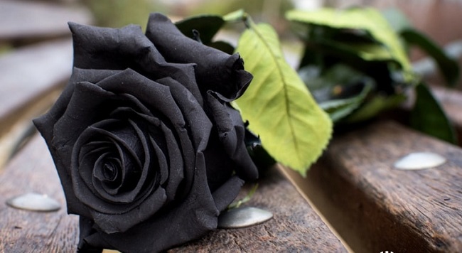 ¿Gastos funerarios son deducibles de impuestos? Esto dice el SAT