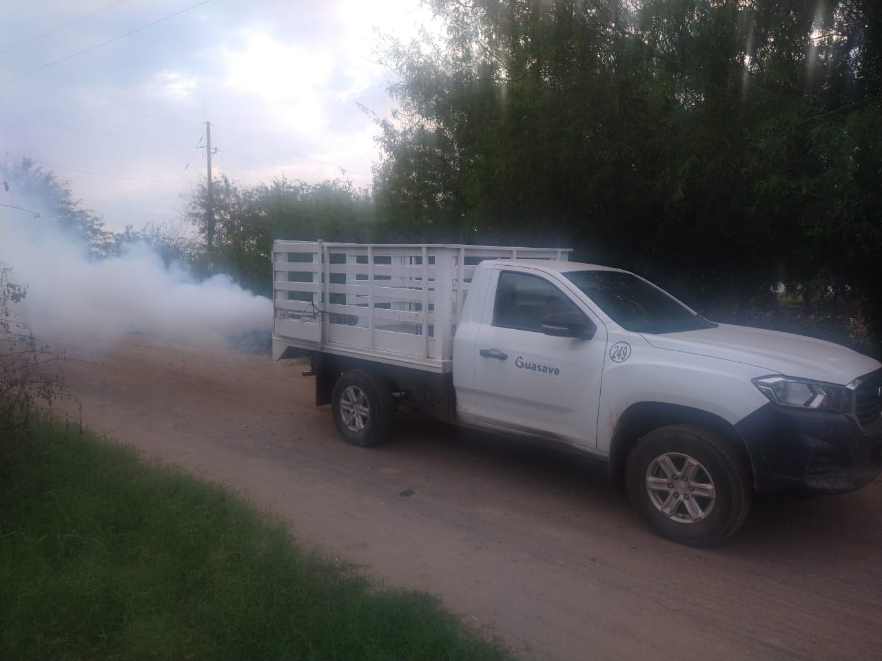 Sinaloa ha registrado cerca de 140 casos de dengue, la zona sur es la más afectada