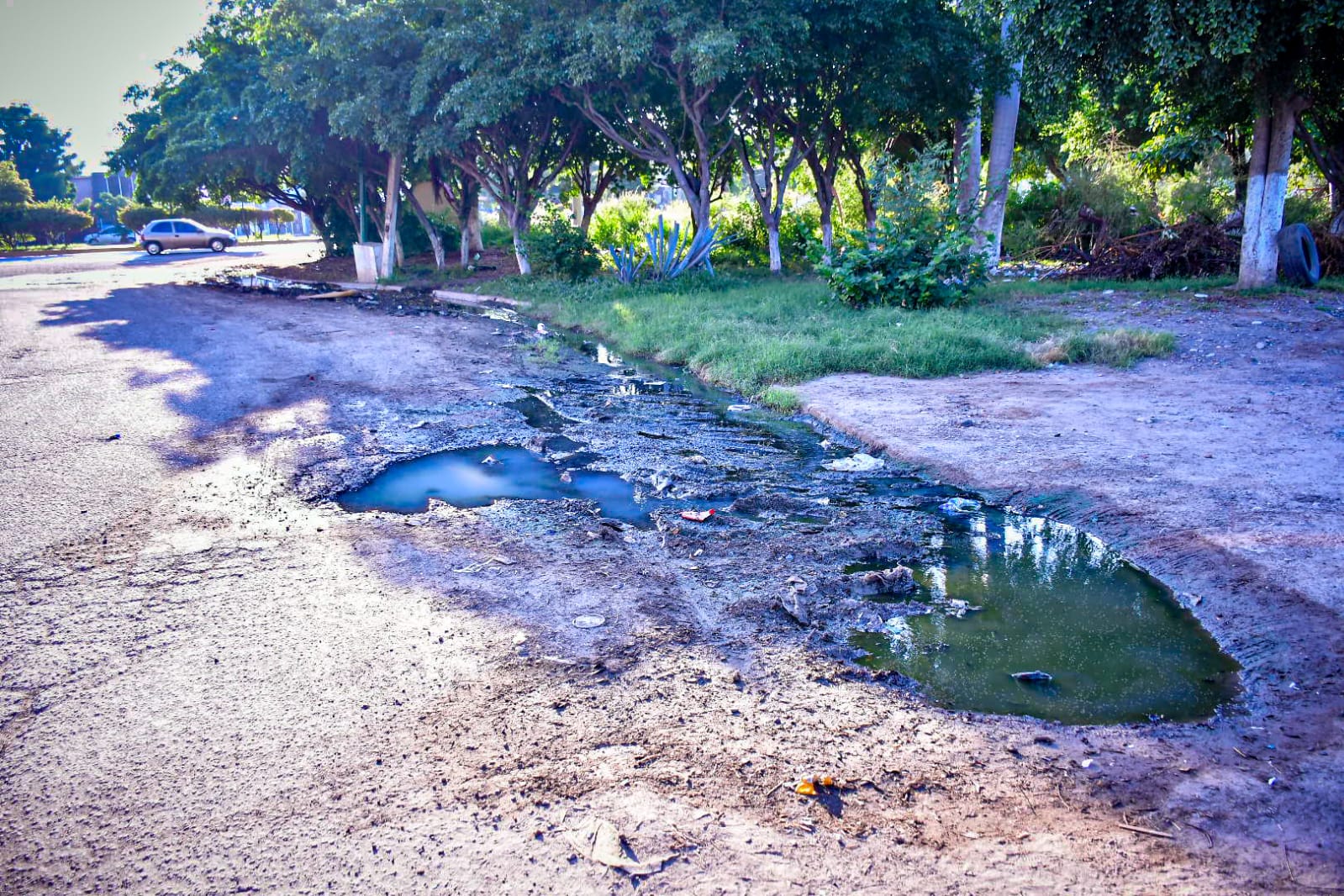 Terminarán los problemas de la avenida Jacarandas en Mazatlán; comenzará su remodelación