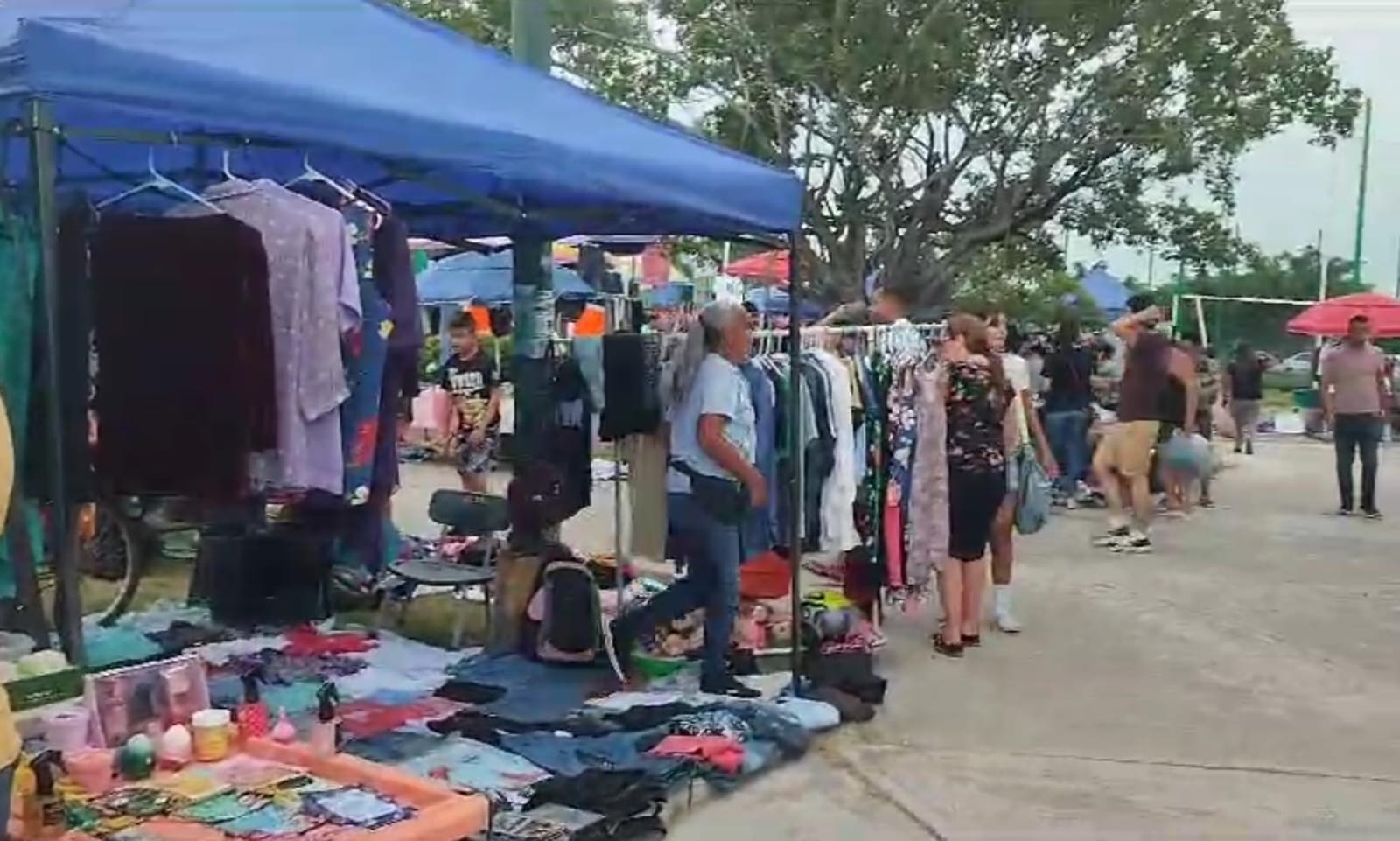 La próxima semana empezará a aumentar el número de vendedores en los tianguis de Mazatlán