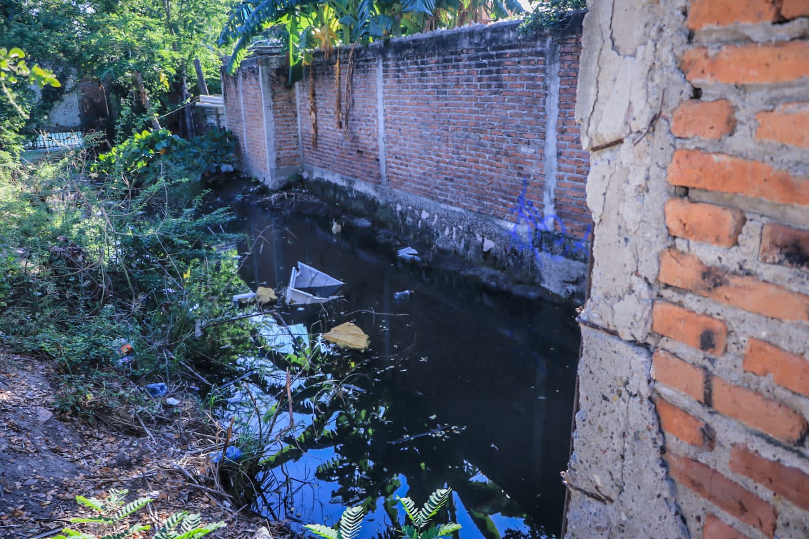 Vecinos de la colonia Klein por fin fueron escuchados por el gobierno de Mazatlán; ya no vivirán entre aguas negras