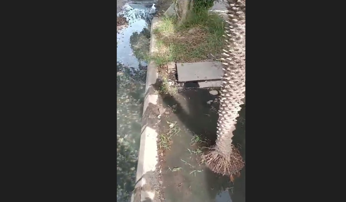 Claman ayuda a Japama vecinos de Las Mañanitas por brote de aguas negras, en Los Mochis