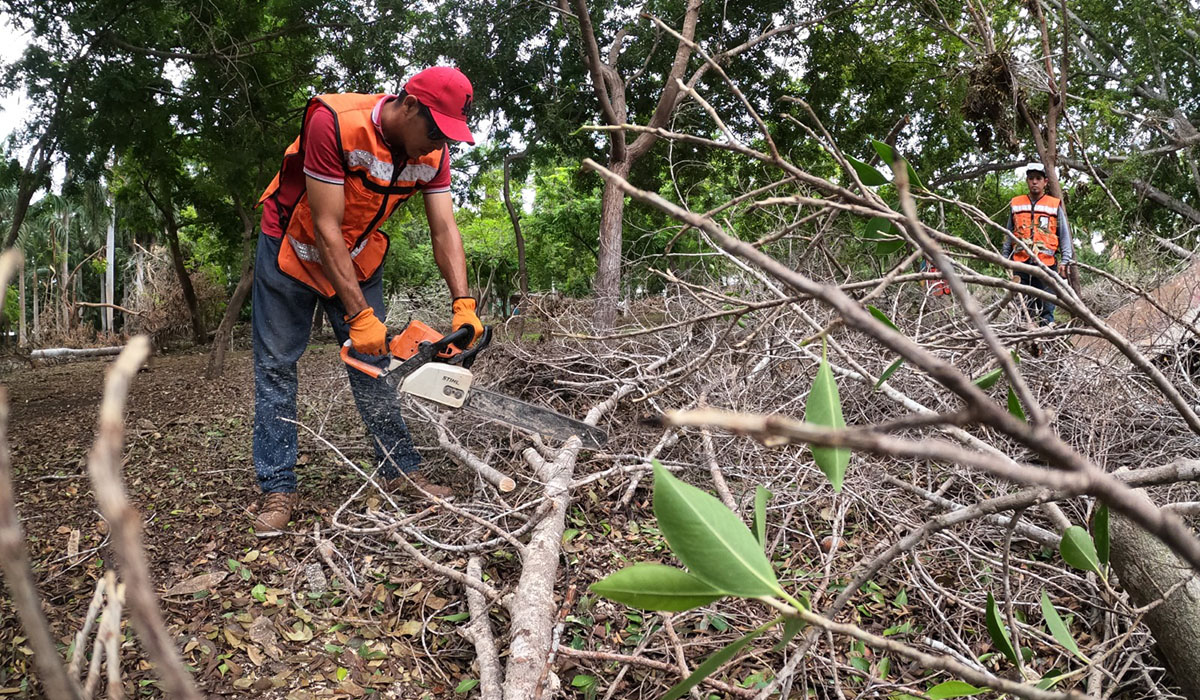 El miércoles 15 de noviembre se reabrirá al público el Parque Sinaloa en Los Mochis
