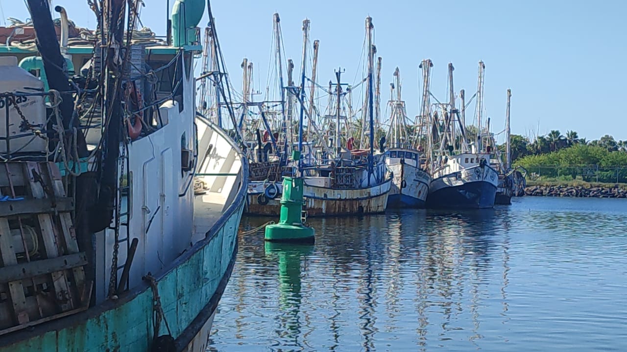 A punto del colapso pesca de altamar en Topolobampo, Sinaloa; paran barcos antes del inicio de la veda del camarón