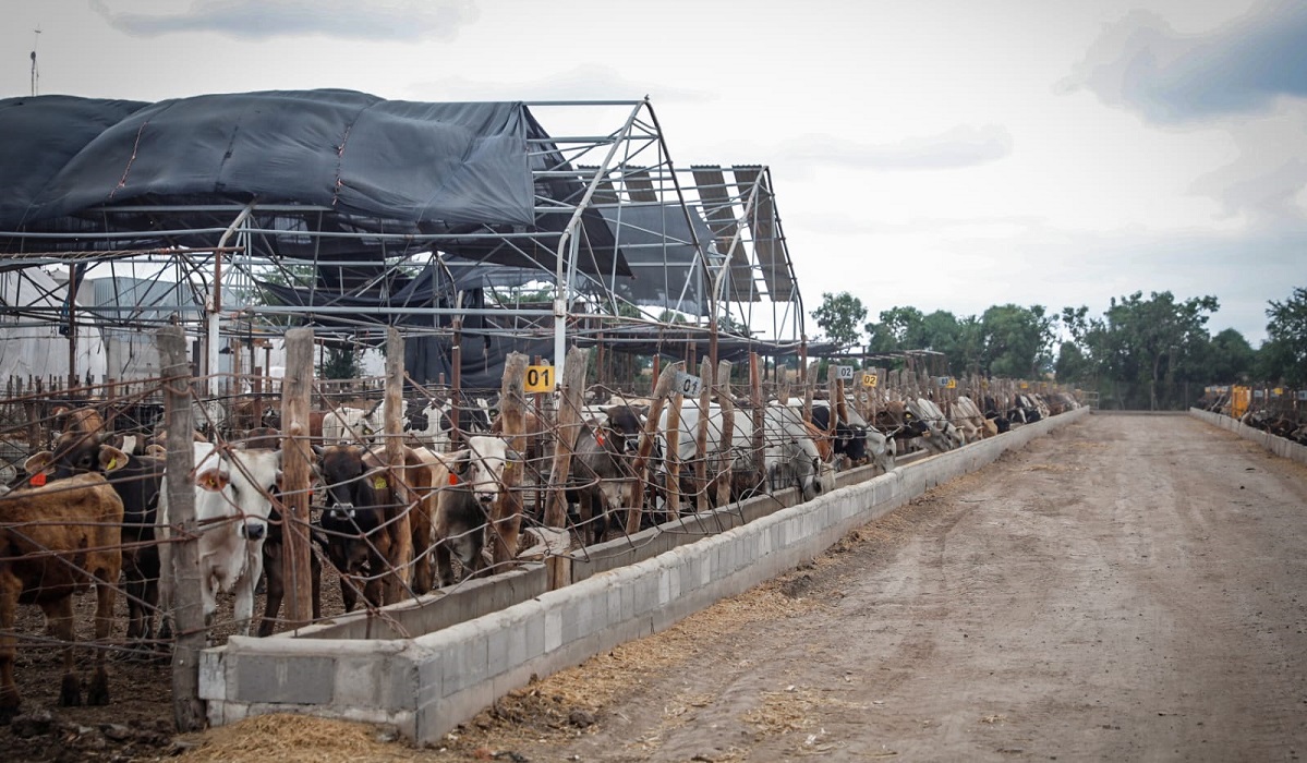 El 2023 fue complicado para el sector industrial: Canacintra