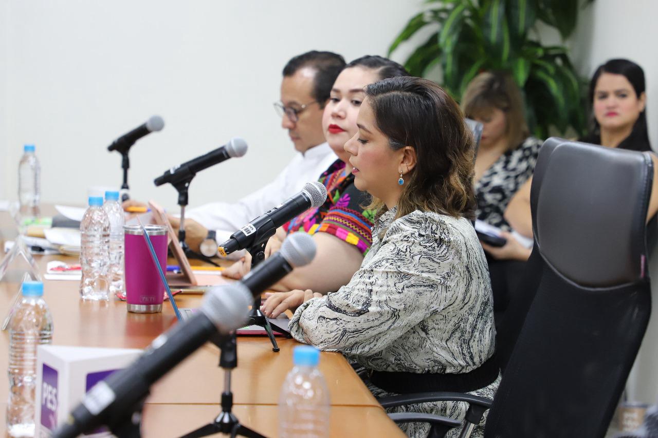 Partidos deberán postular a diputados a una persona de la diversidad sexual, una con discapacidad y a un joven